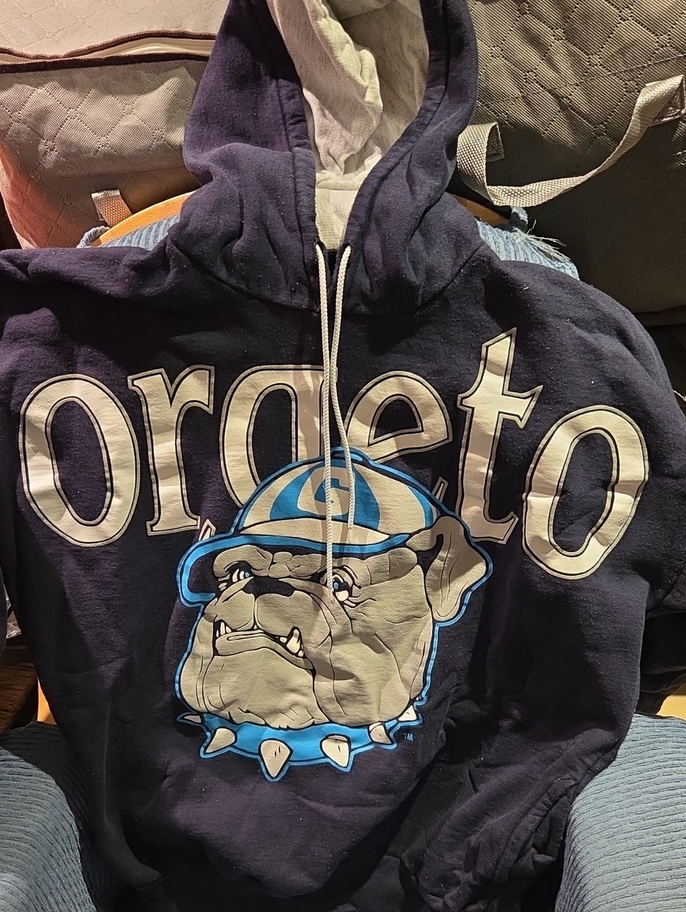 Navy Graphic Georgeto Bulldog Hoodie with Large Text